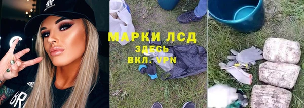 стаф Балахна
