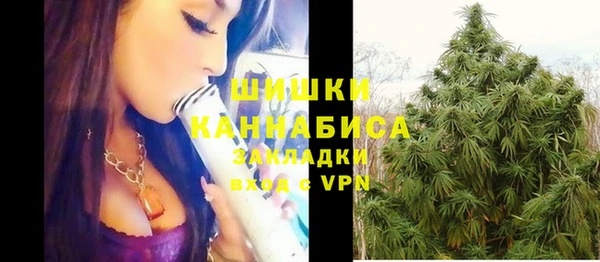 стаф Балахна