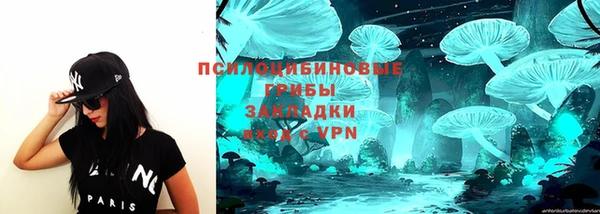 стаф Балахна